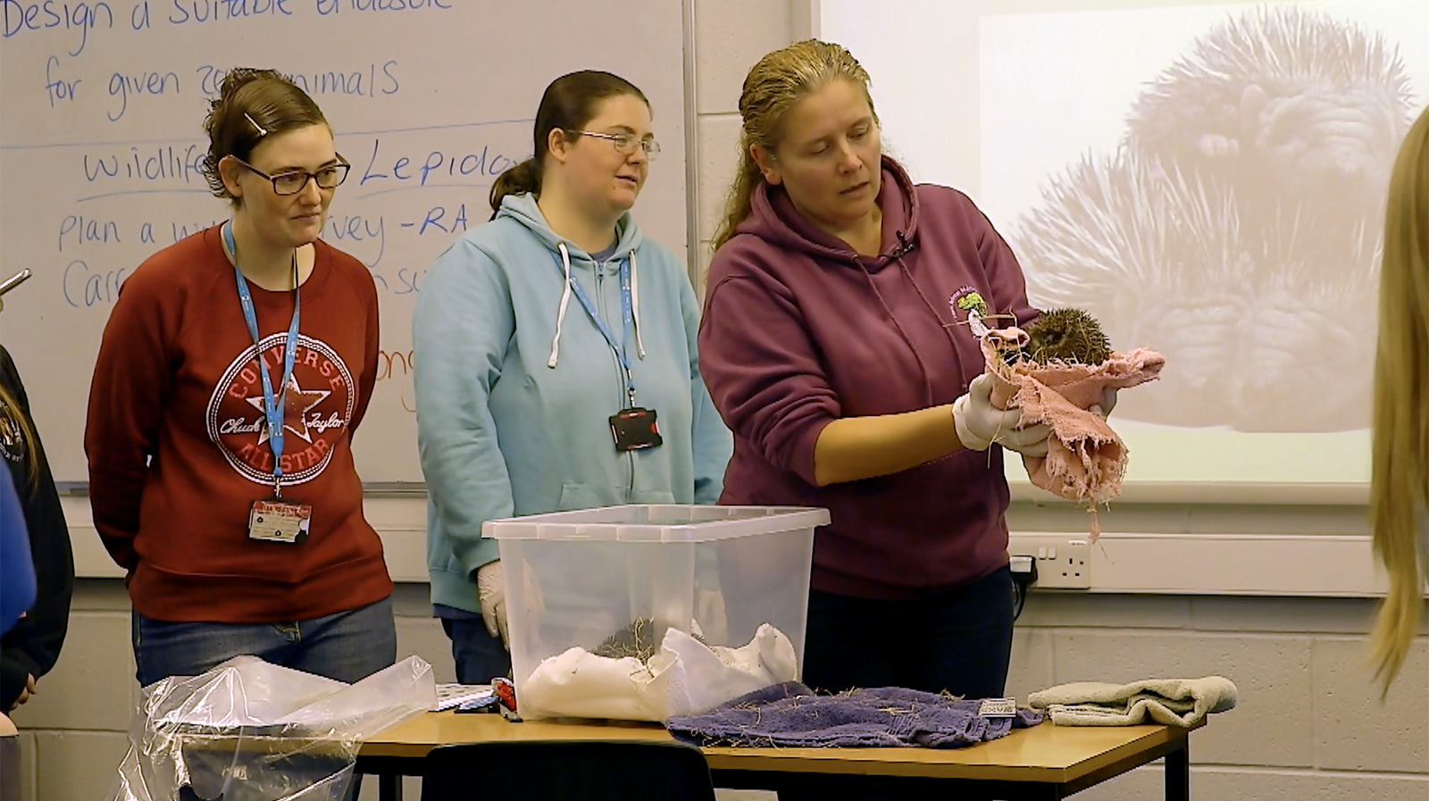 Image: Pedagogical Content Knowledge (PCK): Ann teaching animal science